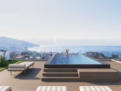 /international/pt/sao-martinho-madeira-310108644972/?lang=fr