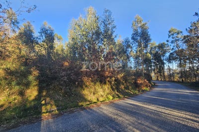 /international/pt/guimaraes-braga-310095806897/