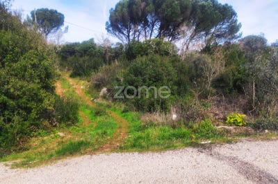 /international/pt/ansiao-leiria-310097958179/?lang=en