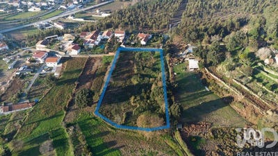 /international/pt/aveiro-aveiro-310104499736/