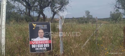 /international/pt/espirito-santo-n-sra-da-graca-e-sao-simao-nisa-portalegre-310108048747/