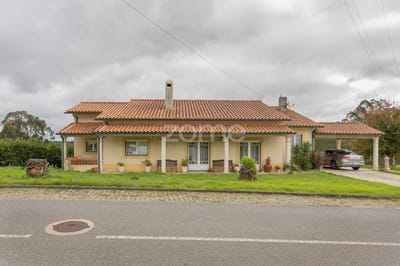 /international/pt/pombal-braga-310098792238/