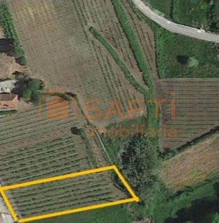 /international/pt/messegaes-viana-do-castelo-310100487979/