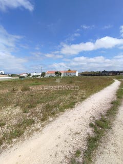 /international/pt/alcochete-alcochete-setubal-municipality-310099279797/