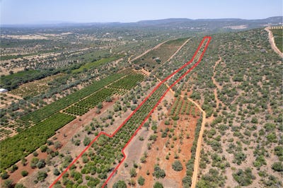 /international/pt/paderne-portugal-paderne-viana-do-castelo-310108941258/