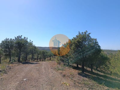 /international/pt/faro-faro-310097923373/