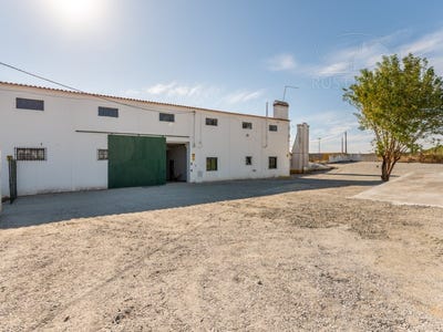 /international/pt/nossa-senhora-da-vila-evora-310109221860/