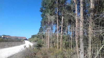 /international/pt/reguengo-grande-lourinha-lisbon-310100874689/