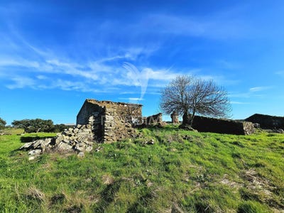 /international/pt/ourique-ourique-beja-310106410704/