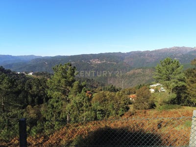 /international/pt/rua-da-urzeira-salamonde-braga-310105160783/