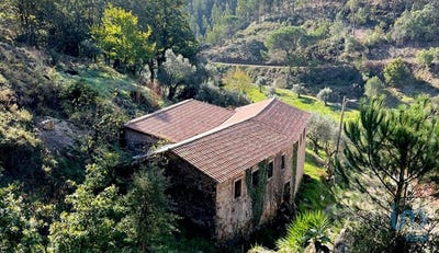 /international/pt/leiria-leiria-310095736342/