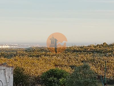 /international/pt/faro-faro-310096819422/