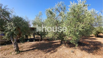 /international/pt/vila-real-vila-real-310101897984/