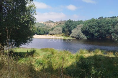 /international/pt/mangualde-viseu-310101015103/?lang=zh-cn