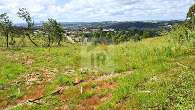 /international/pt/caldas-da-rainha-leiria-310108522012/