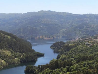 /international/pt/seara-terras-de-bouro-portugal-rio-caldo-braga-310105186143/