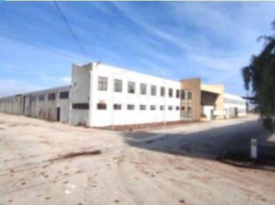 /international/pt/torres-novas-santa-maria-santarem-310109198994/