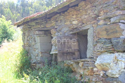 /international/pt/castelo-de-paiva-aveiro-310100013958/?lang=en