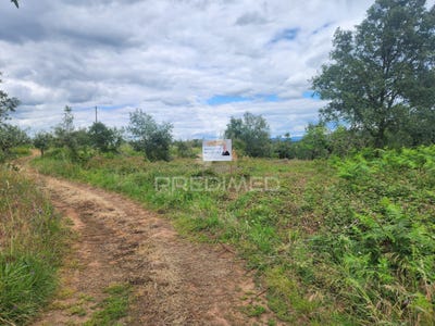 /international/pt/pussos-sao-pedro-alvaiazere-leiria-310108101724/