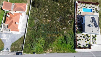 /international/pt/nadadouro-leiria-310107600771/