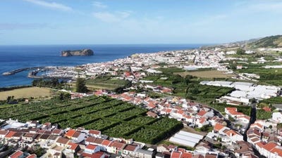 /international/pt/ribeira-seca-azores-310106512751/
