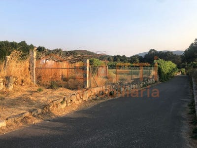 /international/pt/sago-viana-do-castelo-310101278860/