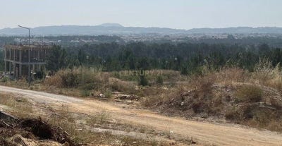 /international/pt/quinta-do-conde-setubal-municipality-310100540100/