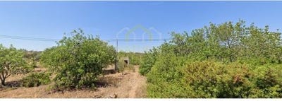 /international/pt/cabeca-olhao-faro-310100636816/