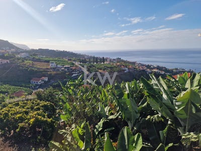 /international/pt/ponta-do-sol-madeira-310104436420/