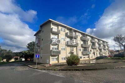 /international/pt/espinho-castelo-branco-120086292924/