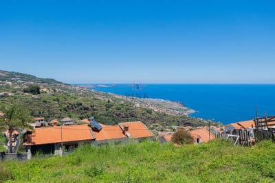 /international/pt/santa-cruz-madeira-310100715287/