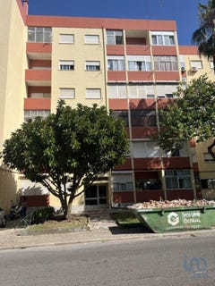 /international/pt/setubal-setubal-municipality-310101274910/?lang=pt
