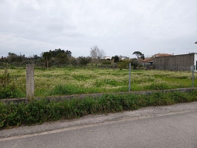 /international/pt/carapinheira-coimbra-310105988042/