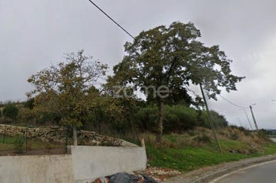 /international/pt/alijo-vila-real-310104039169/