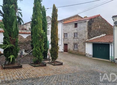 /international/pt/rosmaninhal-castelo-branco-310106158561/