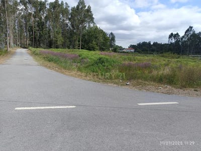/international/pt/r-das-pedras-brancas-381-4990-735-sandiaes-portugal-gaifar-viana-do-castelo-310105188615/
