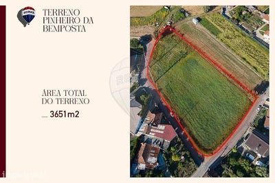 /international/pt/pinheiro-da-bemposta-aveiro-310108182736/