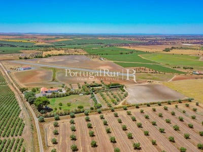 /international/pt/ferreira-do-alentejo-e-canhestros-beja-310108649773/?lang=zh-cn