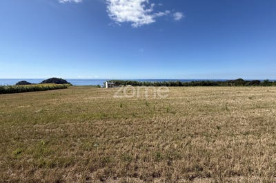 /international/pt/vila-franca-do-campo-azores-310101844917/