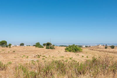 /international/pt/alcochete-setubal-municipality-120095325607/
