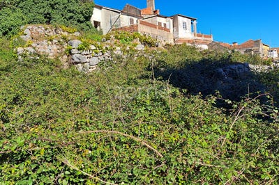 /international/pt/porto-de-mos-leiria-120087041284/