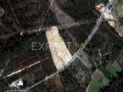 /international/pt/santarem-santarem-310105988057/