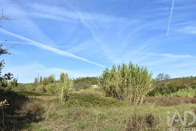 /international/pt/santarem-santarem-310103536761/