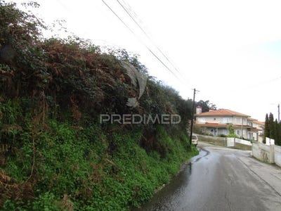 /international/pt/nogueira-da-regedoura-santa-maria-da-feira-aveiro-310101032669/