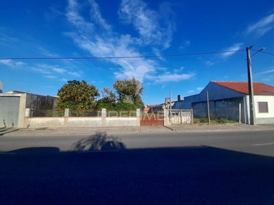 /international/pt/muge-salvaterra-de-magos-santarem-120082357504/