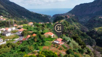 /international/pt/ilha-da-madeira-madeira-310100276183/