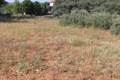 /international/pt/tomar-santarem-120093264366/