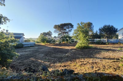 /international/pt/viseu-viseu-120091772192/?lang=zh-tw