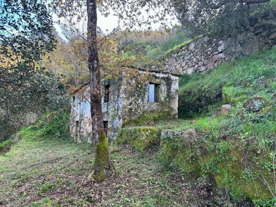 /international/pt/cinfaes-viseu-310108210981/