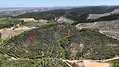 /international/pt/aljezur-faro-310105103531/